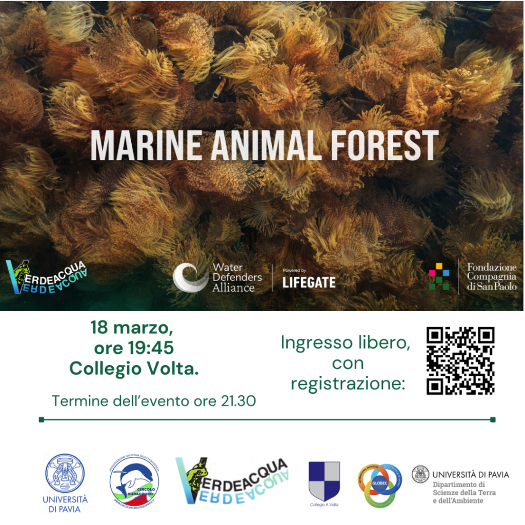 Alla scoperta delle “Marine Animal Forest”: proiezione e incontro con il regista alCollegio Volta