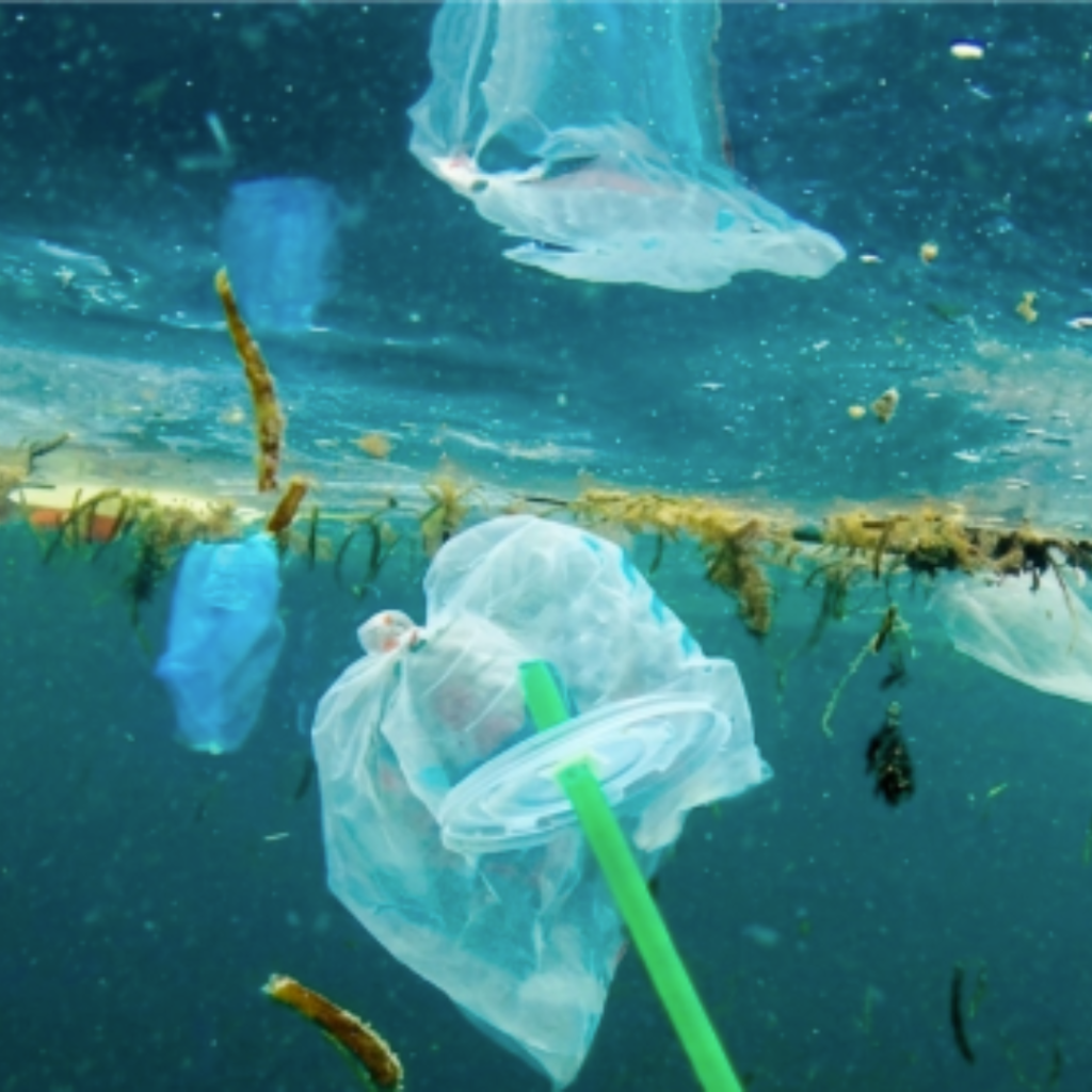 Il Ticino sotto osservazione. Ricerca e azioni contro l’inquinamento da plastica
